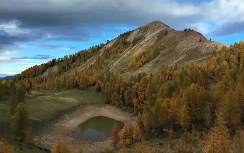 Autunno dorato sul lago delle salare, con larici color ocra che abbracciano la montagna e riflettono il cielo nuvoloso.