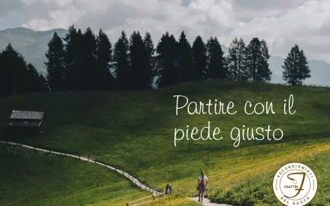 Persone che fanno trekking su un sentiero in montagna, tra prati verdi e alberi.