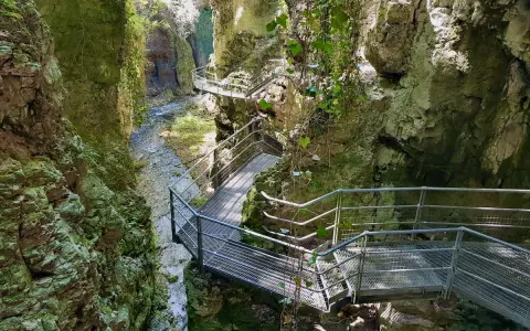 Sentiero metallico si snoda lungo un **canyon fondo**, con un ruscello che scorre tra rocce ricoperte di muschio.