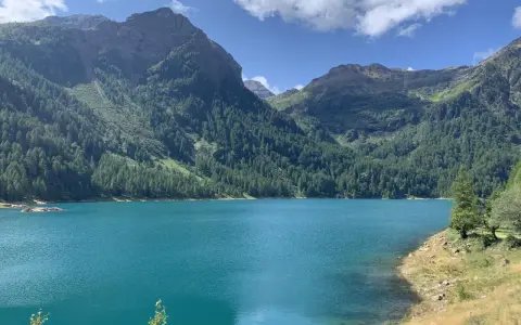 Il lago di Pian Palù, con le sue acque turchesi, è incastonato tra montagne ricoperte di fitti boschi di conifere.