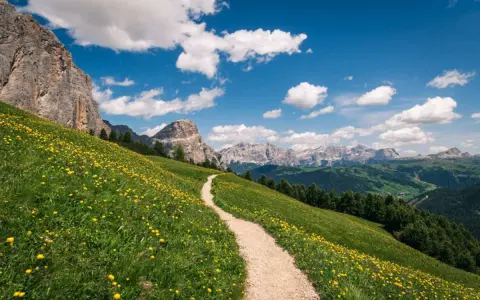 Sentiero tortuoso su un prato fiorito, ideale per chi cerca dove fare trekking tra le maestose Dolomiti.