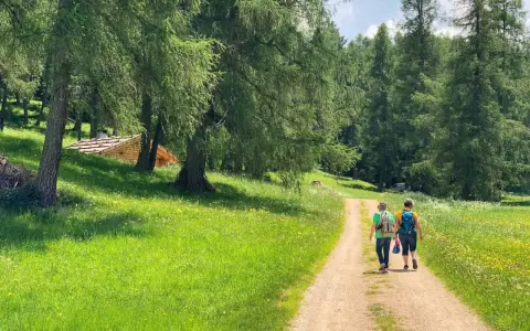 Due persone camminano su un sentiero nella Val di Non, circondate da prati verdi e alberi. Una baita di legno si intravede tra gli alberi.