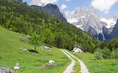 Sentiero che sale verso un rifugio sull'**altopiano Paganella**, circondato da prati fioriti e boschi rigogliosi, con imponenti vette rocciose sullo sfondo.
