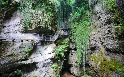 Sentiero attrezzato nel canyon Val di Non, tra rocce ricoperte di vegetazione e cascate di edera.