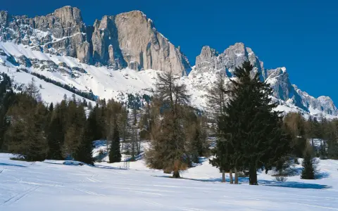Vaste cime innevate dominano il paesaggio alpino. La **passo costalunga altitudine** è raggiunta tra boschi di conifere e un cielo azzurro intenso.