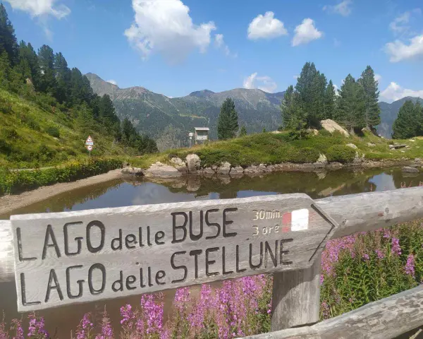 Segnavia in legno indica il percorso per il lago delle Buse e il lago delle Stellune, circondato da fiori viola e montagne verdi.