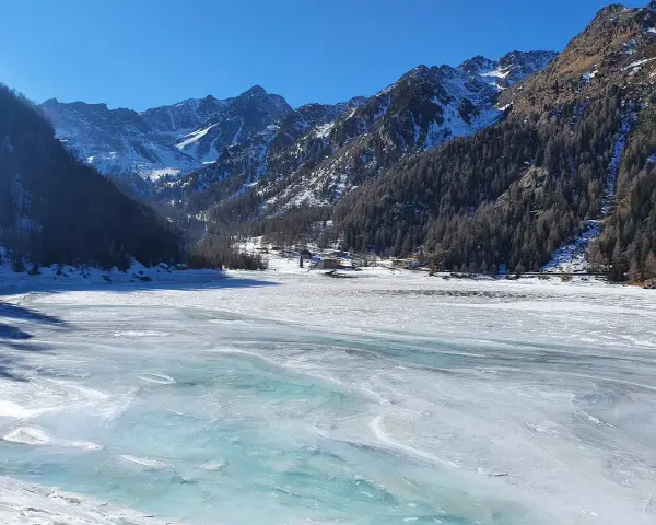 Il lago di Fontana Bianca, un'immensa distesa ghiacciata sotto un cielo azzurro, circondato da montagne innevate e boschi scuri.