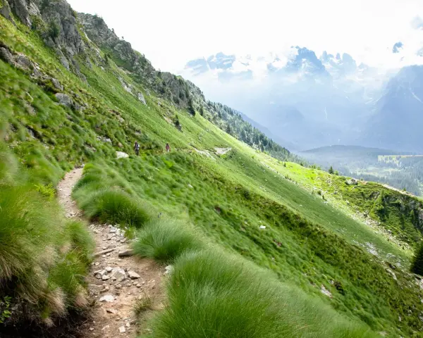 Sentiero nel **parco dell'Adamello**, con escursionisti su un crinale erboso e montagne sullo sfondo.