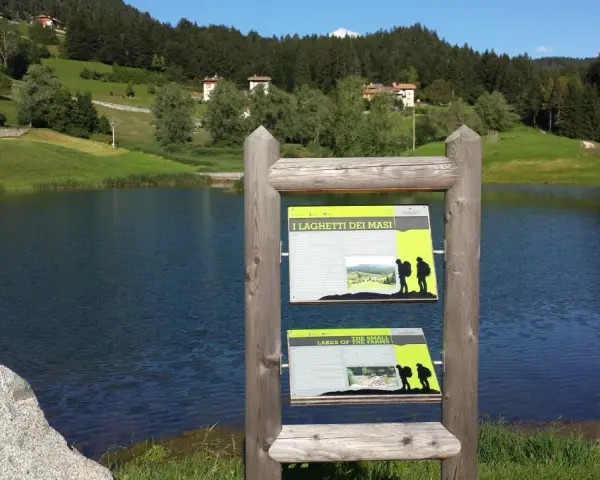 I laghetti di Ruffrè, un'oasi di pace con un lago sereno e colline verdi, invitano all'esplorazione.