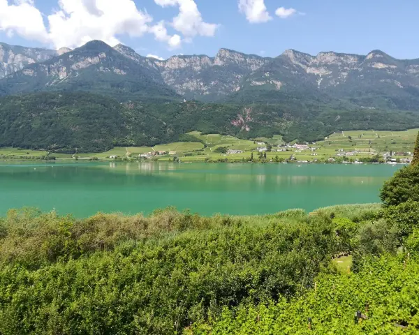 Lago di Caldaro, un gioiello verde smeraldo incastonato tra vigneti e montagne. Cosa vedere a Ronzone? Questo paesaggio mozzafiato è solo un assaggio.