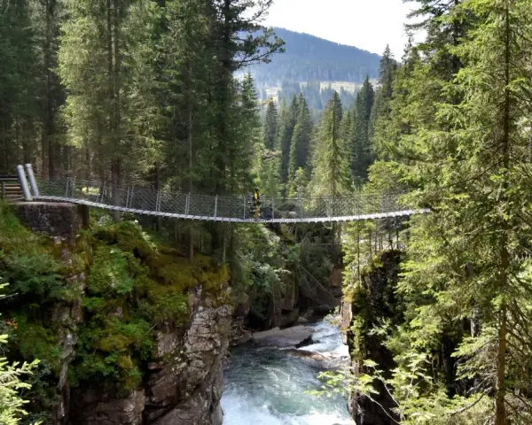Un ciclista attraversa un avventuroso ponte tibetano sospeso su un torrente impetuoso, circondato da una fitta foresta alpina.