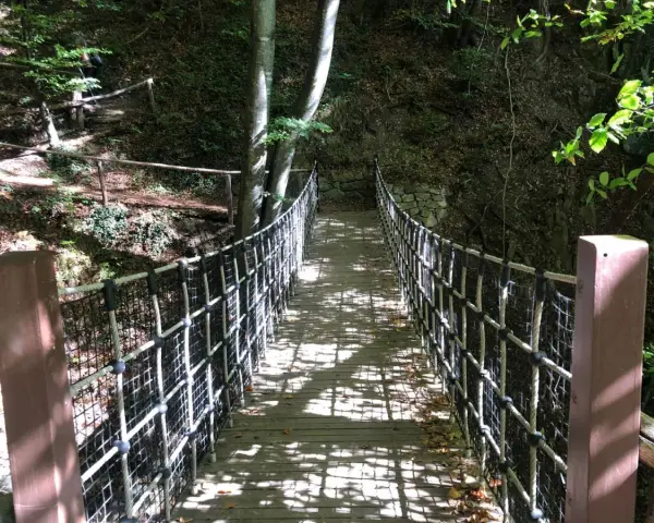 Un ponte sospeso in legno e corda attraversa un bosco ombroso, parte del sentiero dei masi.
