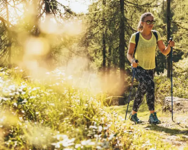 Una donna con bastoncini da trekking cammina su un sentiero soleggiato in Trentino, godendosi un facile trekking tra i boschi.