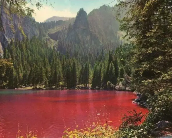 Un suggestivo lago che cambia colore, circondato da una fitta foresta di conifere e imponenti montagne.