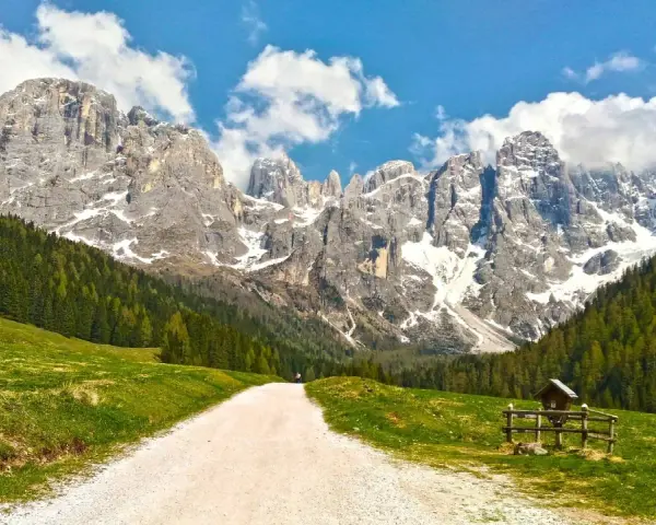 Sentiero sterrato tra prati verdi e boschi, con imponenti vette innevate sullo sfondo. Le Dolomiti facili invitano a una passeggiata panoramica.