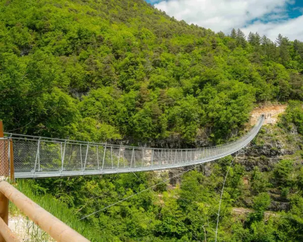 Il ponte tibetano di Mezzolombardo si estende su un profondo canyon, circondato da una lussureggiante foresta verde.