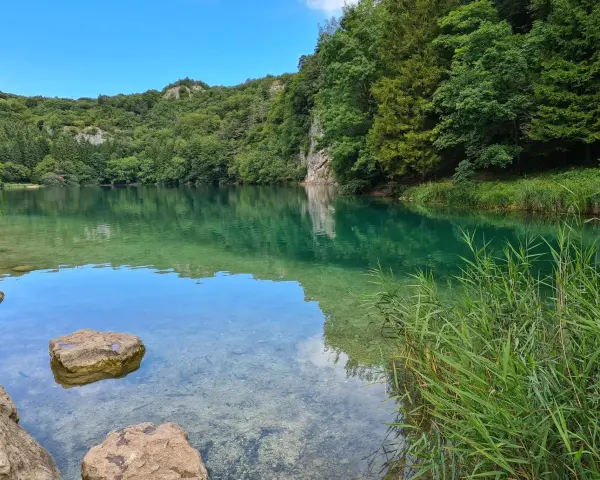 Acque cristalline del lago di Lavis riflettono la rigogliosa vegetazione. Rocce affiorano, un corridore si allena lungo la riva.