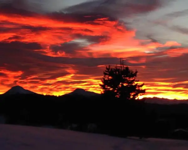 Un infuocato tramonto sulle Dolomiti, con nuvole rosse e arancioni che illuminano il cielo sopra le sagome scure delle montagne e di un pino solitario.