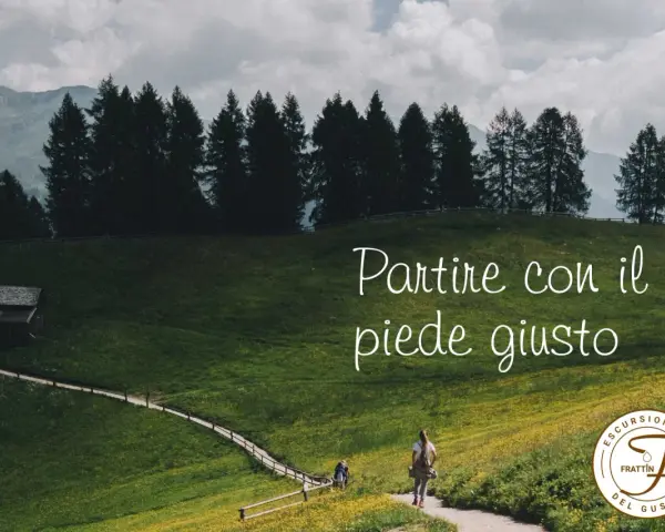 Persone che fanno trekking su un sentiero in montagna, tra prati verdi e alberi.