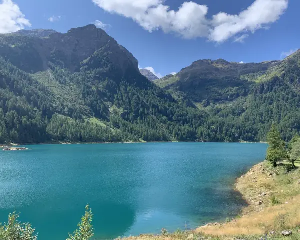 Il lago di Pian Palù, con le sue acque turchesi, è incastonato tra montagne ricoperte di fitti boschi di conifere.