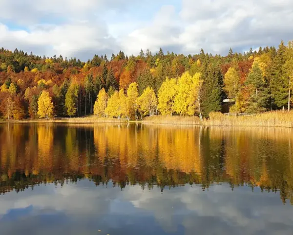 Colori autunnali vibranti si specchiano nel lago santo Val di Cembra, creando un paesaggio incantevole.