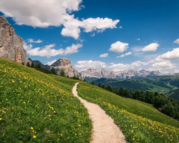 Sentiero tortuoso su un prato fiorito, ideale per chi cerca dove fare trekking tra le maestose Dolomiti.