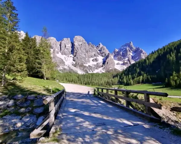 Ponte in legno su ruscello, sentiero per trekking Val Venegia, con montagne innevate e boschi verdi sotto un cielo azzurro.