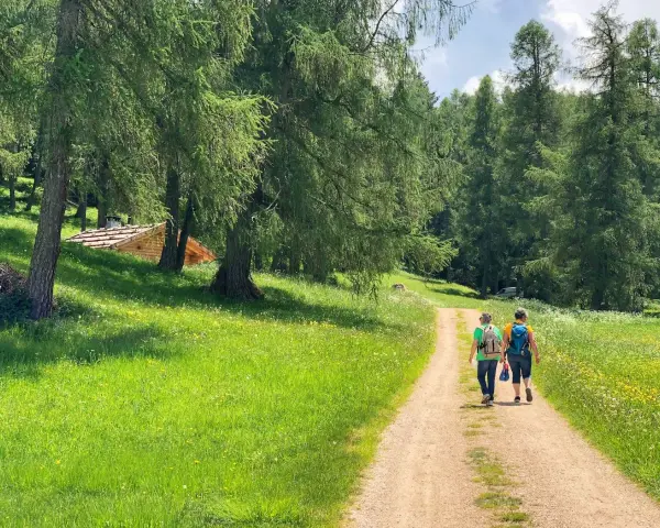 Due persone camminano su un sentiero nella Val di Non, circondate da prati verdi e alberi. Una baita di legno si intravede tra gli alberi.