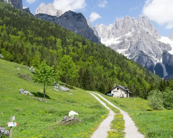 Sentiero che sale verso un rifugio sull'**altopiano Paganella**, circondato da prati fioriti e boschi rigogliosi, con imponenti vette rocciose sullo sfondo.