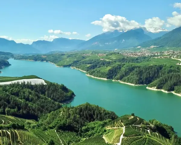 Panoramica mozzafiato del lago di Santa Giustina, circondato da verdi colline coltivate e montagne imponenti.
