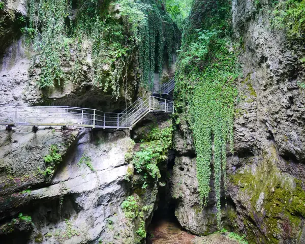 Sentiero attrezzato nel canyon Val di Non, tra rocce ricoperte di vegetazione e cascate di edera.