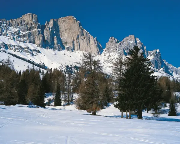 Vaste cime innevate dominano il paesaggio alpino. La **passo costalunga altitudine** è raggiunta tra boschi di conifere e un cielo azzurro intenso.