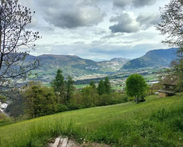 Prato verde e montagne sullo sfondo nella valle di Comano. Una casa con tetto in legno e un albero solitario.