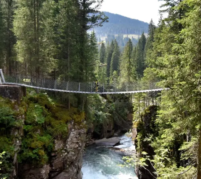 Un ciclista attraversa un avventuroso ponte tibetano sospeso su un torrente impetuoso, circondato da una fitta foresta alpina.