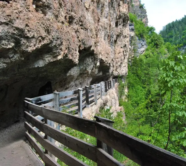 Sentiero a San Romedio scavato nella roccia, con passerella in legno e vista sulla valle boscosa.