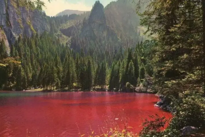 Un suggestivo lago che cambia colore, circondato da una fitta foresta di conifere e imponenti montagne.