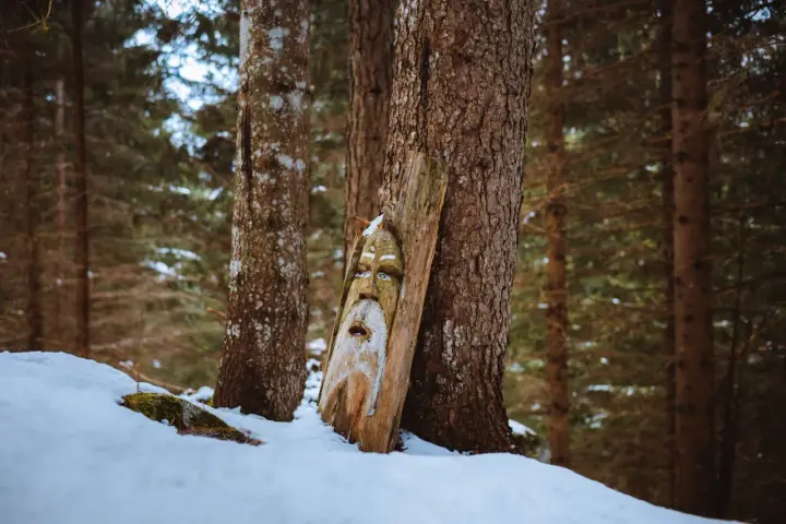 Volto di legno intagliato, forse un guardiano del sentiero degli gnomi, spunta dalla neve in un bosco d'inverno.