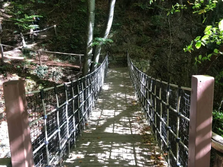 Un ponte sospeso in legno e corda attraversa un bosco ombroso, parte del sentiero dei masi.