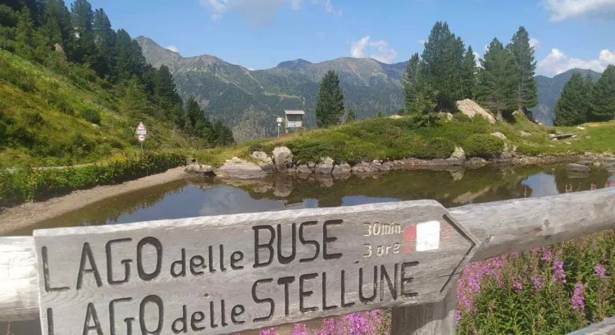 Segnavia in legno indica il percorso per il lago delle Buse e il lago delle Stellune, circondato da fiori viola e montagne verdi.