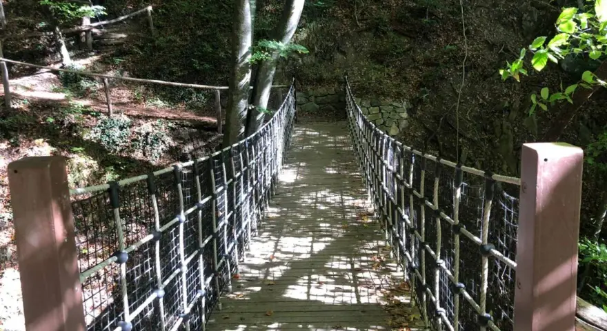 Un ponte sospeso in legno e corda attraversa un bosco ombroso, parte del sentiero dei masi.