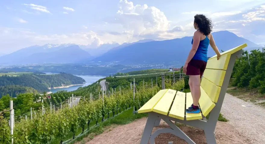Donna ammira il panorama da una panchina gialla gigante, circondata da vigneti e montagne.