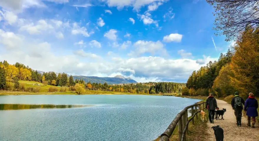 Passeggiata autunnale con cani lungo il lago, tra boschi colorati e montagne. Predaia cosa vedere: questo splendido paesaggio.