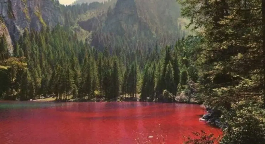 Un suggestivo lago che cambia colore, circondato da una fitta foresta di conifere e imponenti montagne.
