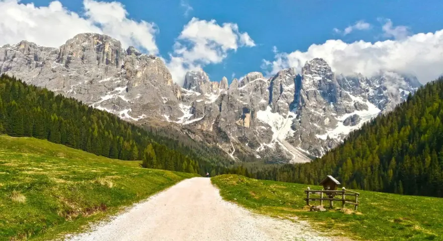 Sentiero sterrato tra prati verdi e boschi, con imponenti vette innevate sullo sfondo. Le Dolomiti facili invitano a una passeggiata panoramica.
