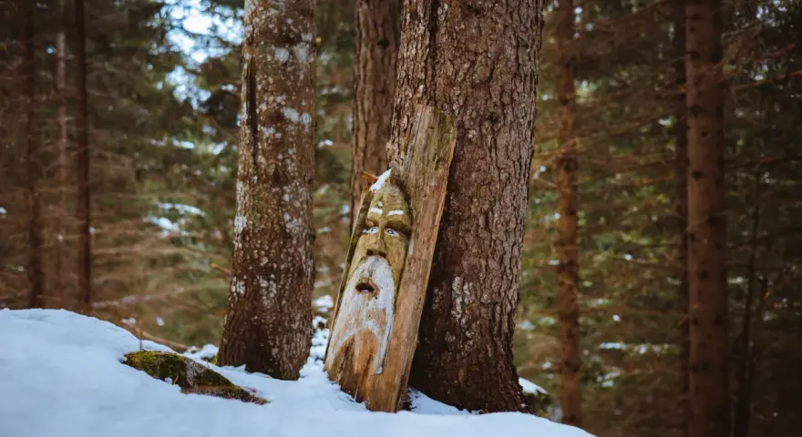 Volto di legno intagliato, forse un guardiano del sentiero degli gnomi, spunta dalla neve in un bosco d'inverno.