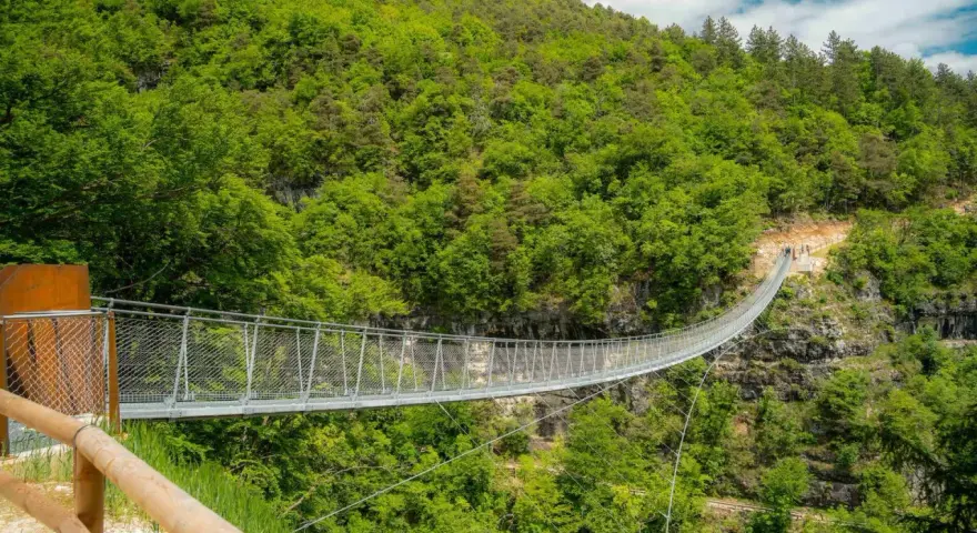 Il ponte tibetano di Mezzolombardo si estende su un profondo canyon, circondato da una lussureggiante foresta verde.
