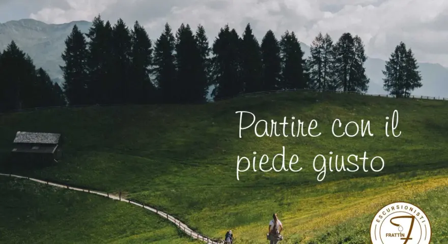 Persone che fanno trekking su un sentiero in montagna, tra prati verdi e alberi.