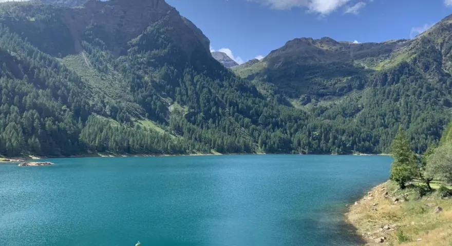Il lago di Pian Palù, con le sue acque turchesi, è incastonato tra montagne ricoperte di fitti boschi di conifere.