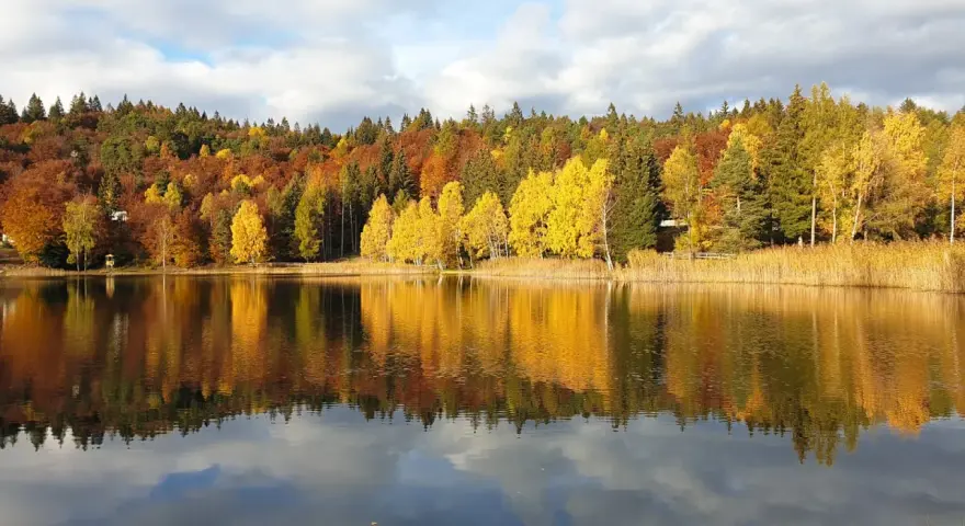 Colori autunnali vibranti si specchiano nel lago santo Val di Cembra, creando un paesaggio incantevole.