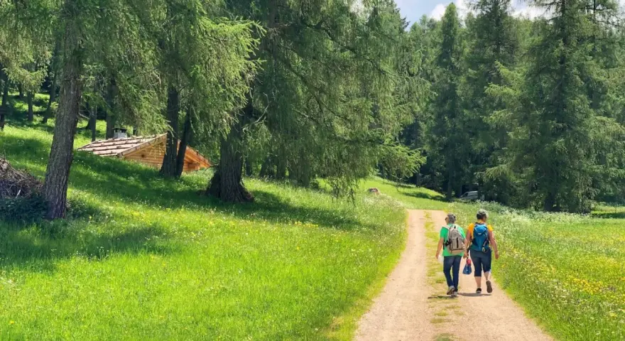 Due persone camminano su un sentiero nella Val di Non, circondate da prati verdi e alberi. Una baita di legno si intravede tra gli alberi.